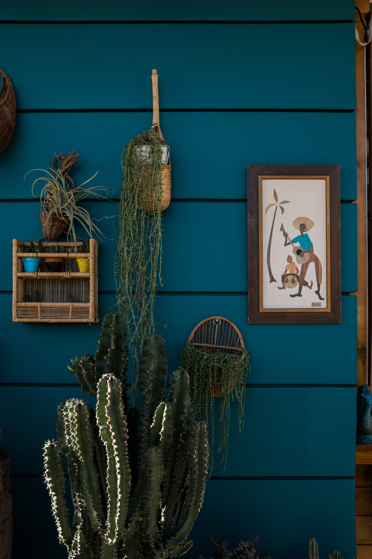 A cactus, some succulents and artwork against some blue-painted wooden siding