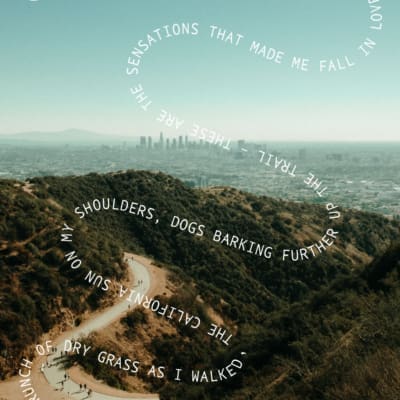 Hiking in LA | a road through the hills outside LA on a sunny day, with a view over the city in the distance