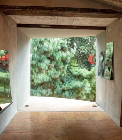 The best art galleries and museums in Mexico City | Inside ALGO, where a fully glazed wall provides one viewing area with a backdrop of the trees outside.