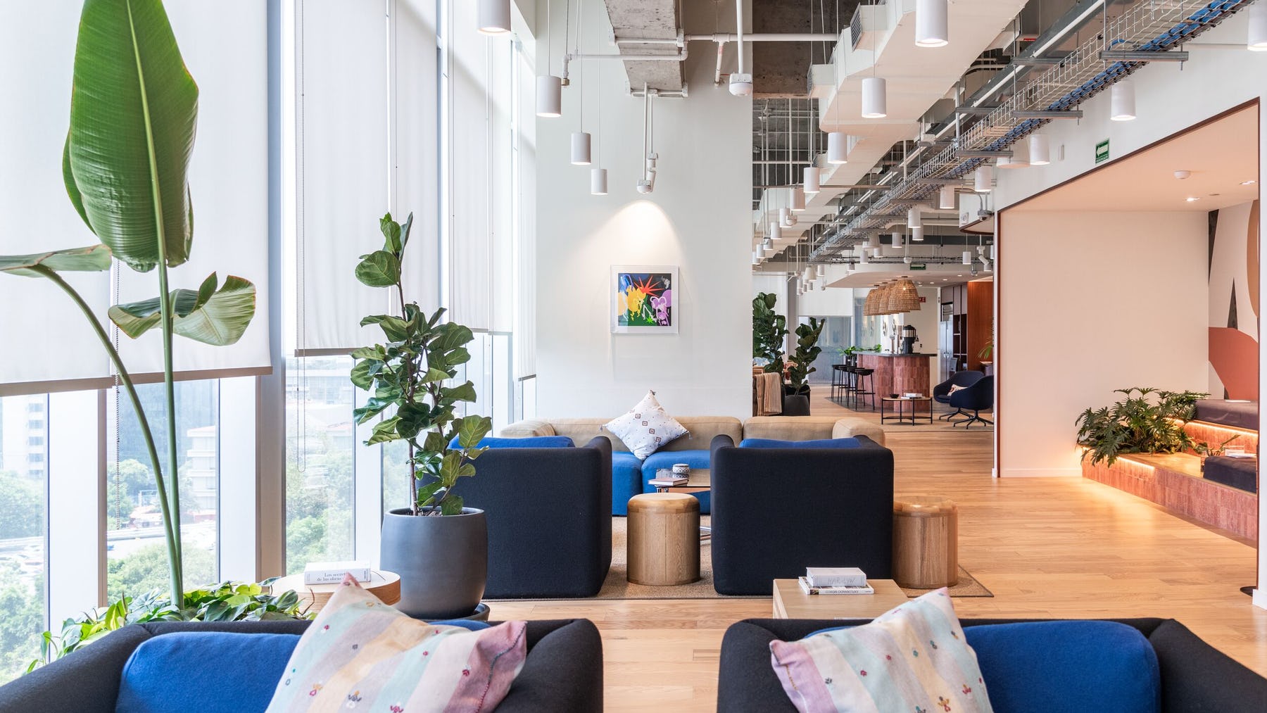 A large bright room with wooden floors, white walls and floor to ceiling windows, with blue sofas and plenty of greenery