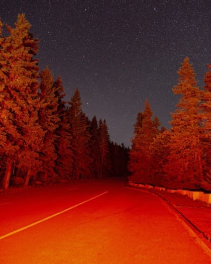 A roadtrip through America' New England | a red-lit dark road, flanked by trees