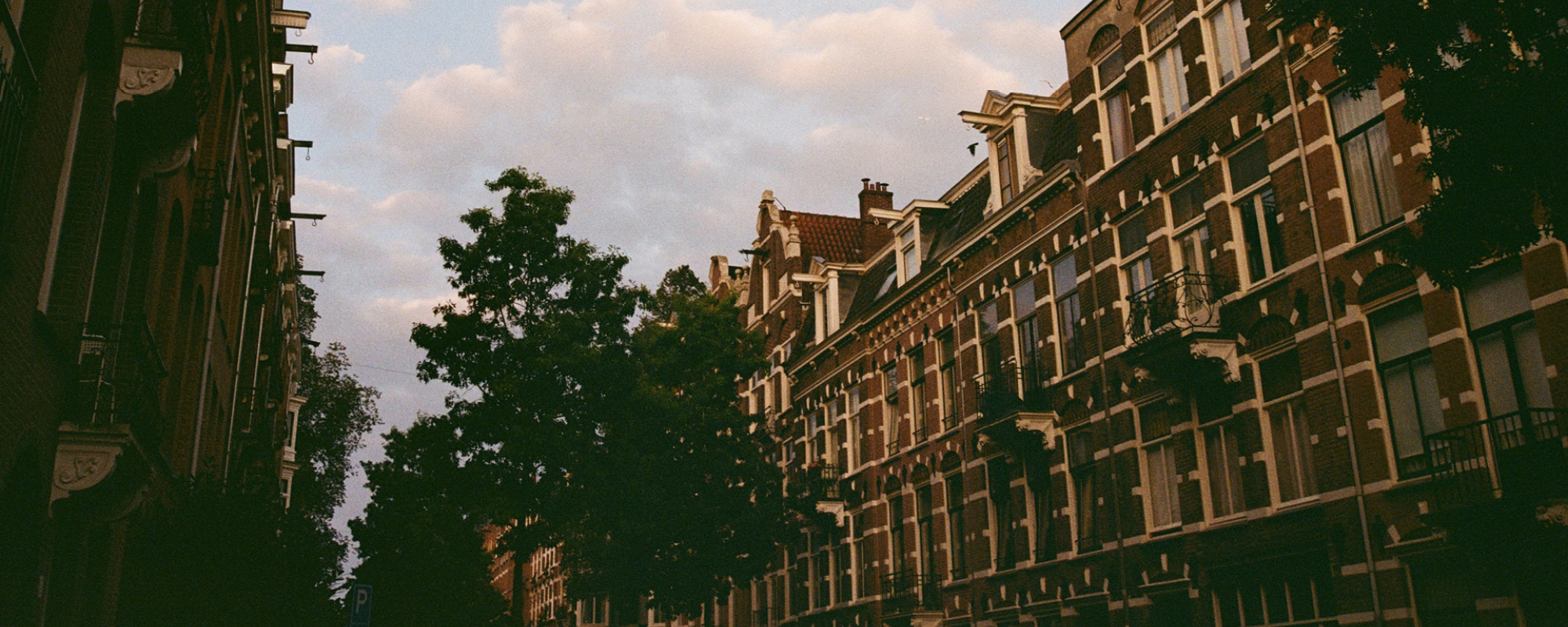 Amsterdam city guide | a traditional streetscape in Amsterdam, flanked by trees