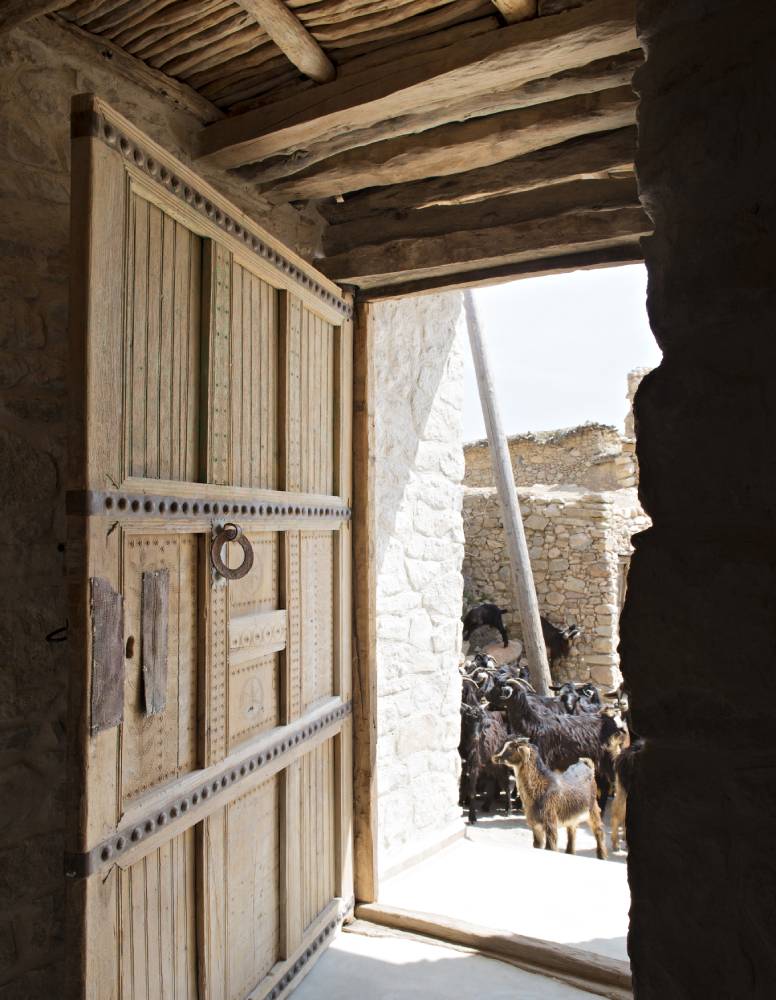 goats approach an open door in Morocco