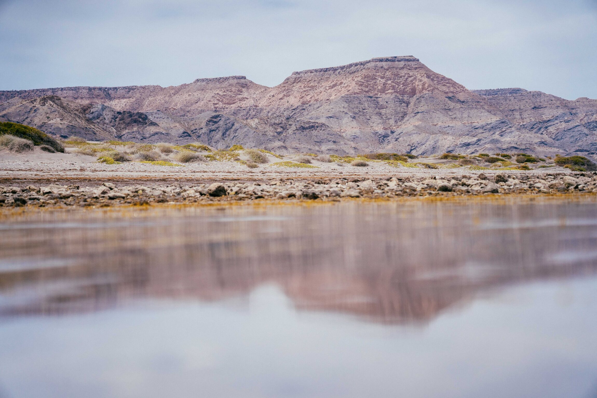 Focal Point: Alex Krowiak | A desert scene by San Diego-based nature photographer Alex Krowiak