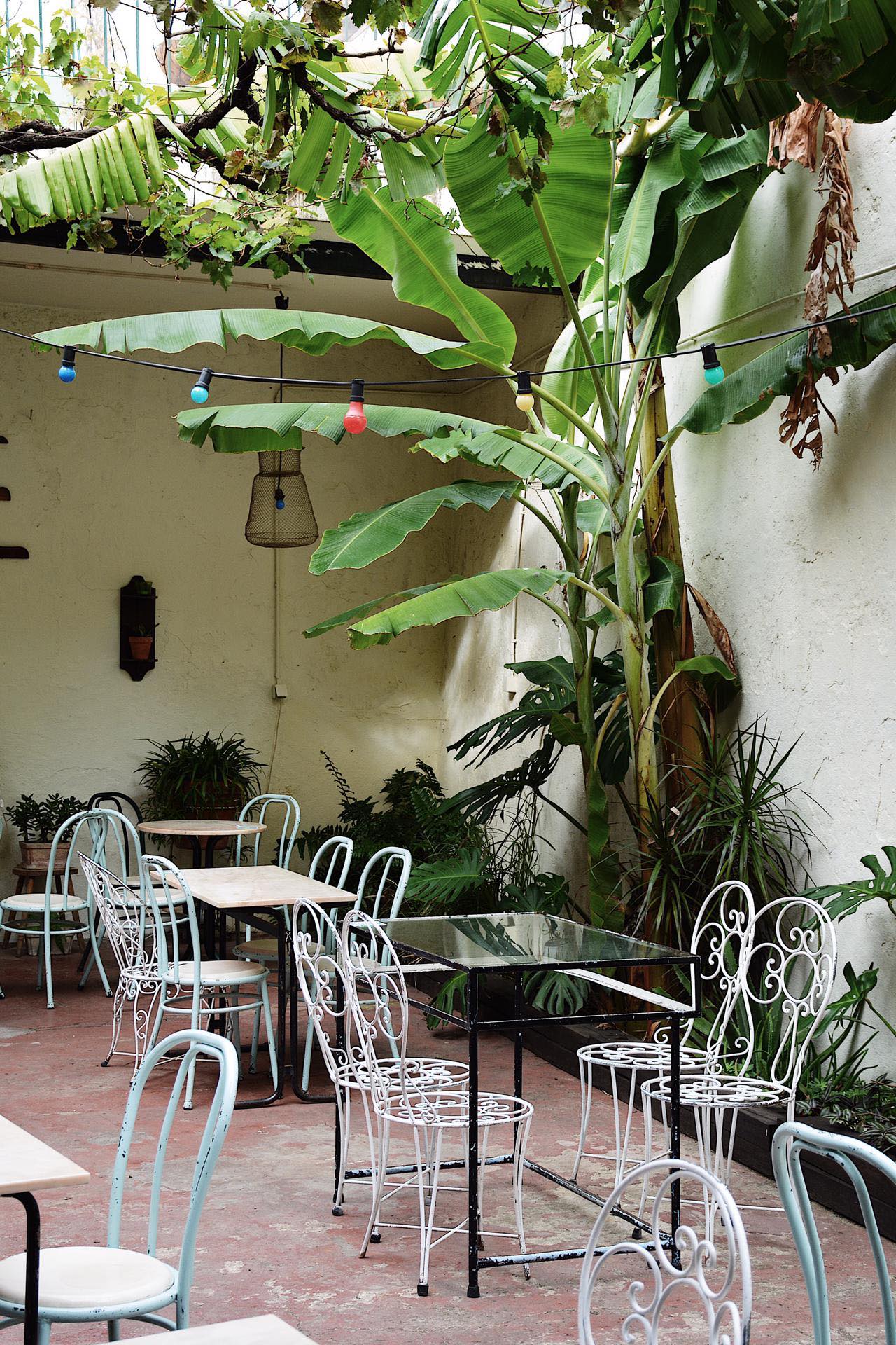 Light-filled, plant-clad courtyard at Casa Independente