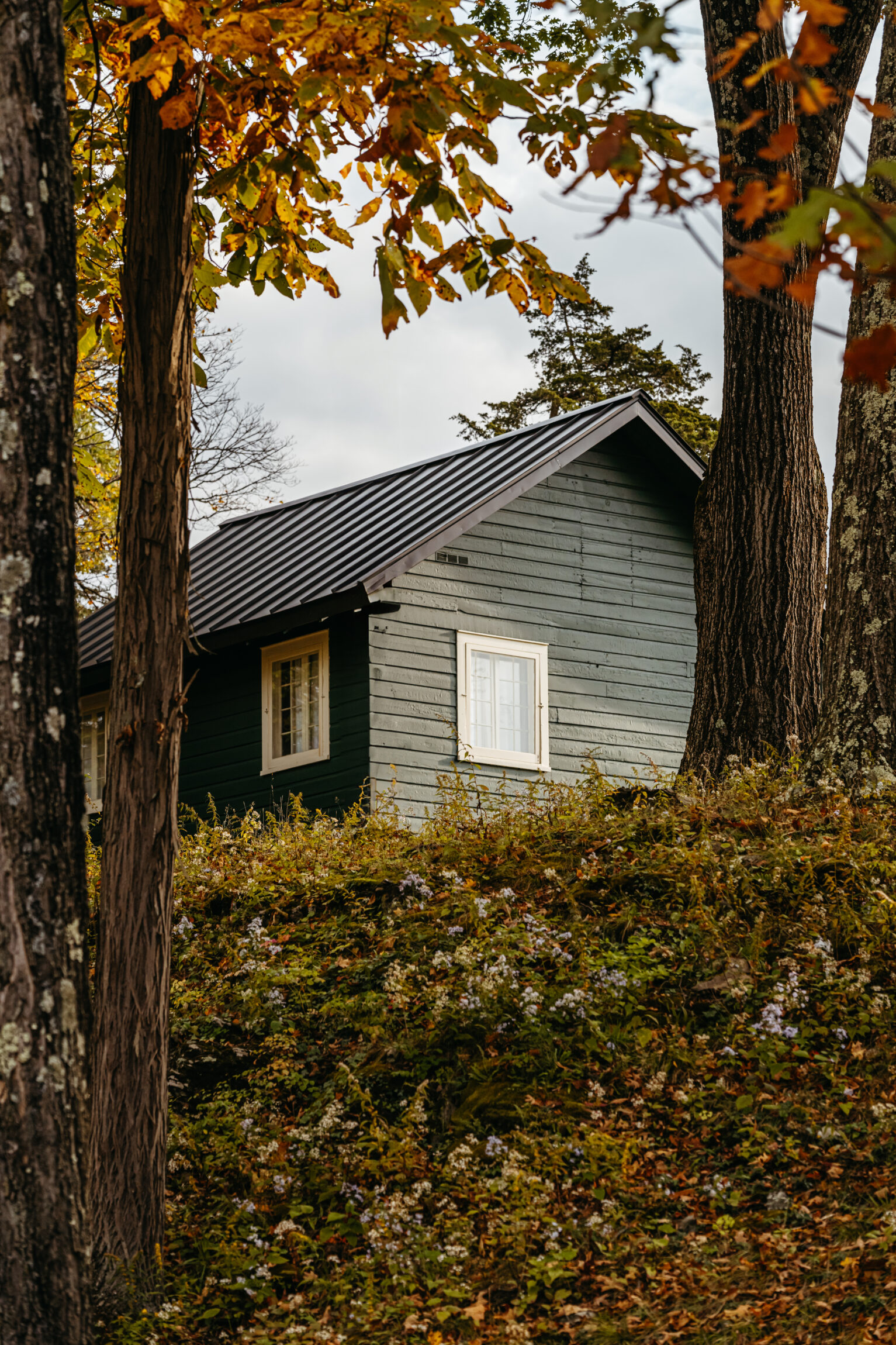 Charming wooden house nestled among trees, showcasing a serene autumn setting