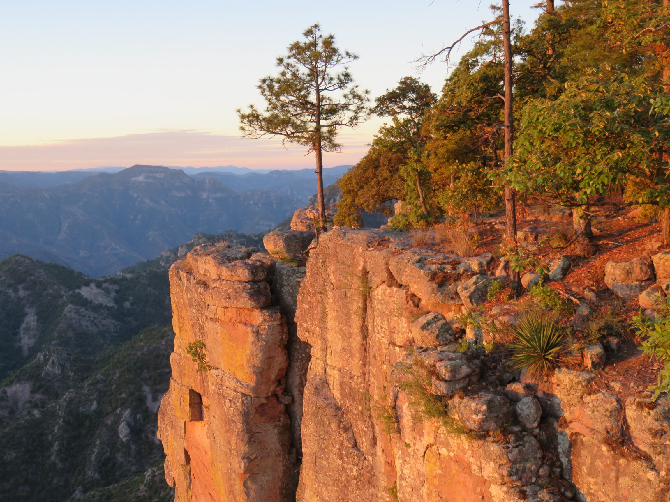 Copper Canyon at sunrise, Chihuahua, Mexico