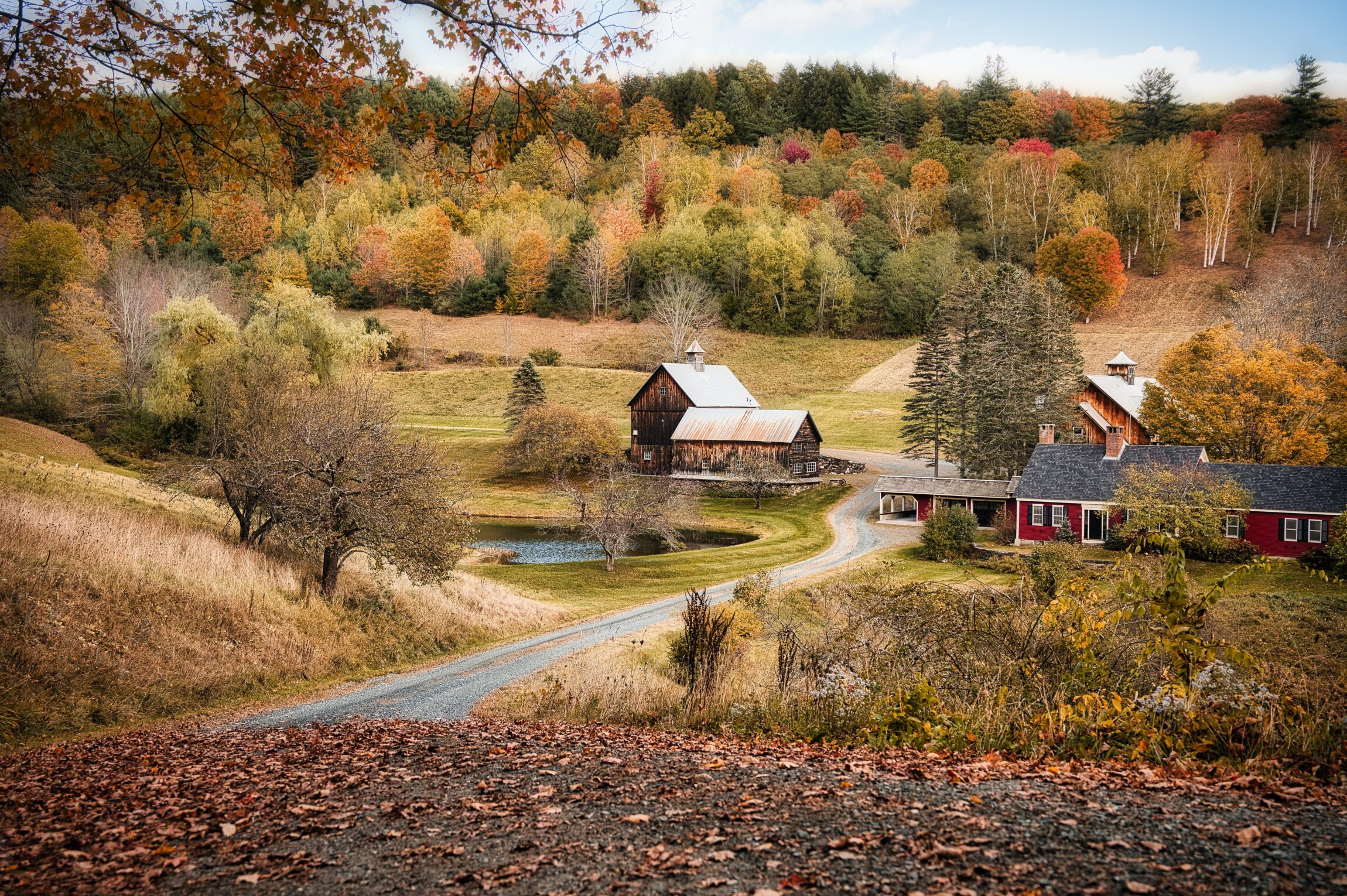 Woodstock in autumn