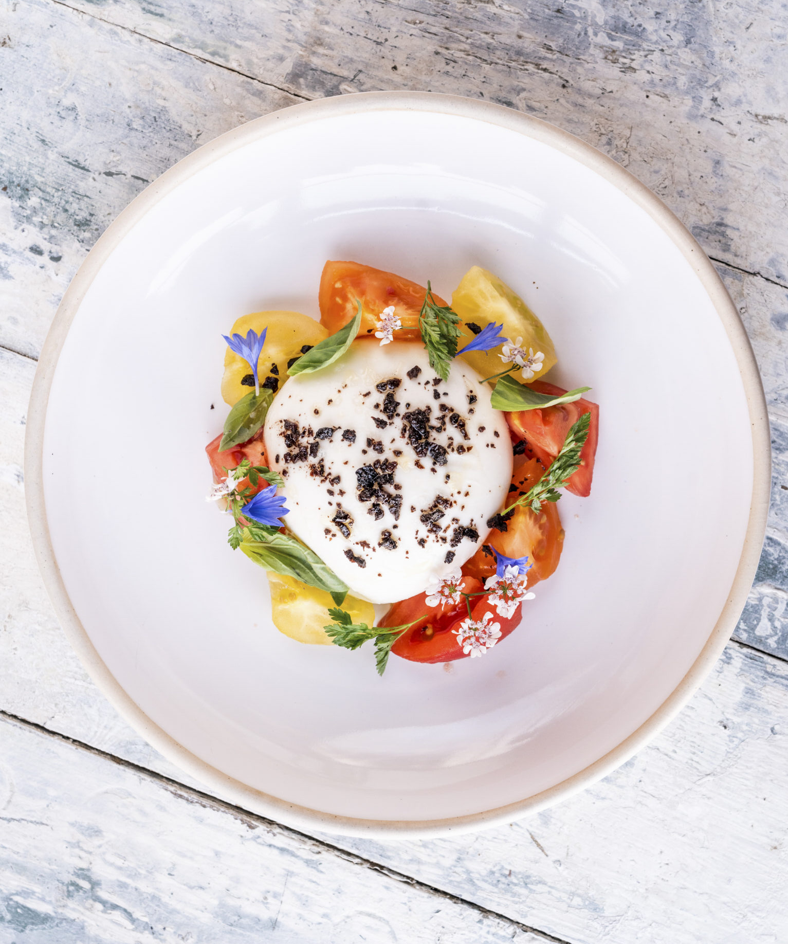 A colourful burrata dish at Chalk, Wiston Estate