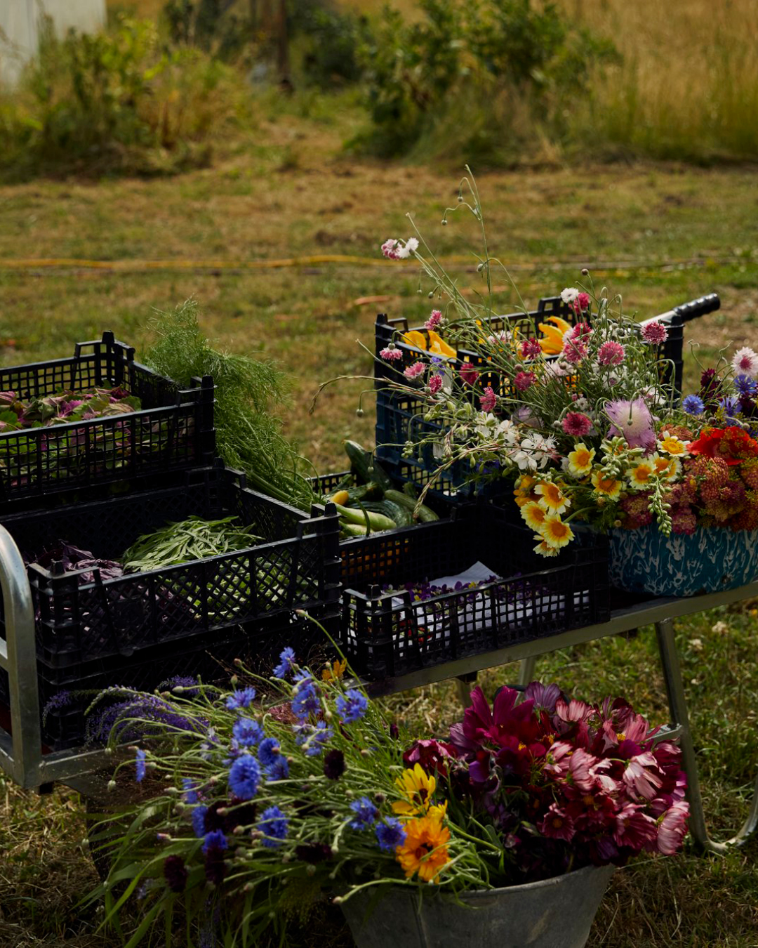 Produce from Wilsons' two-acre farm in Bristol