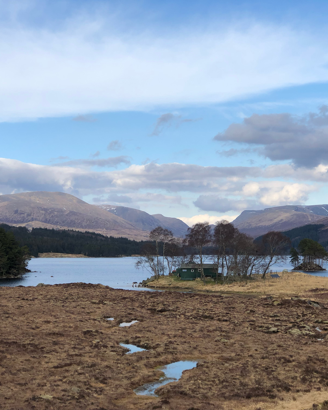 Loch Ossian Youth Hostel nestled in trees beside the loch