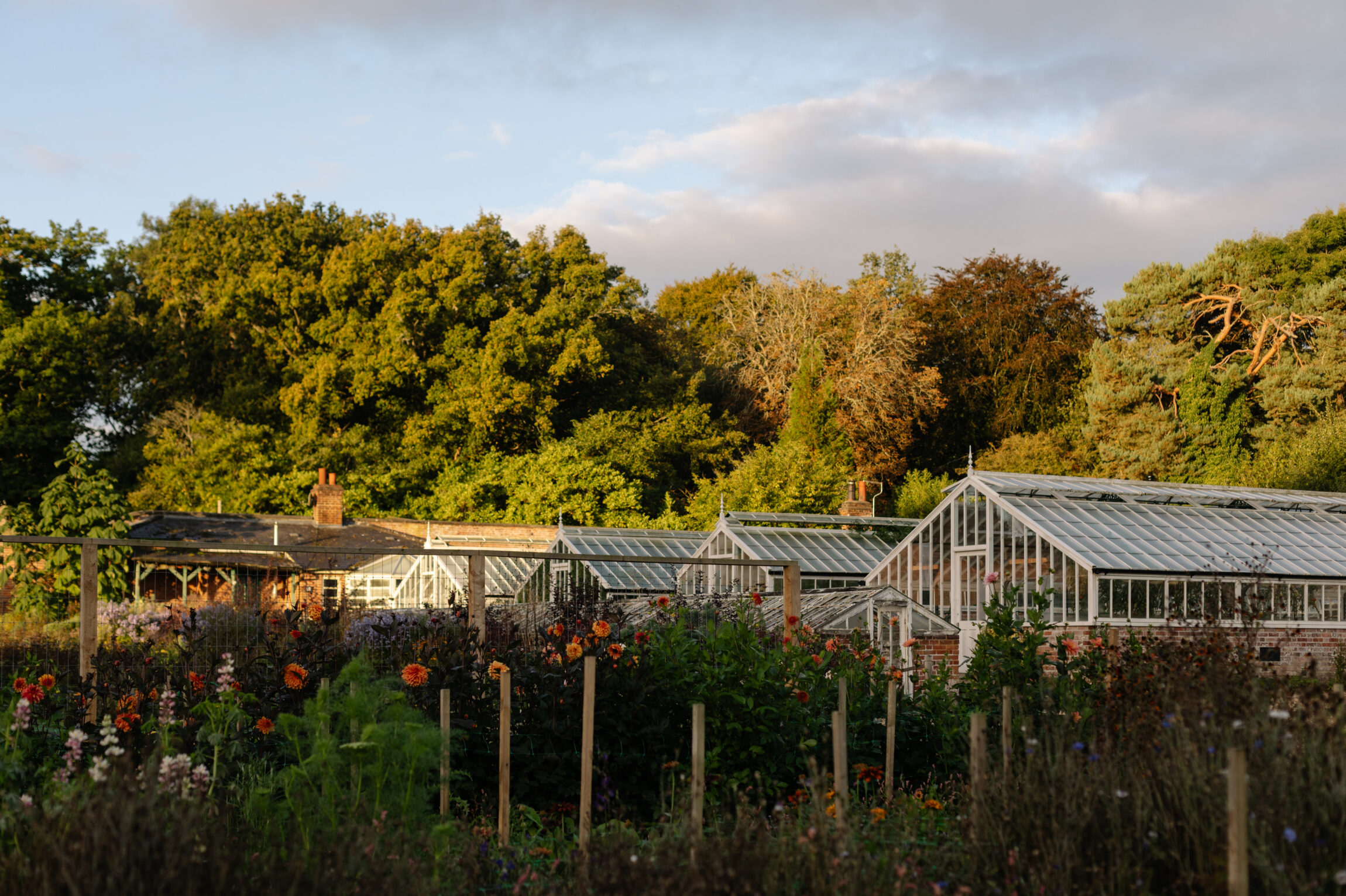 Greenhouses at Water Lane in East Sussex