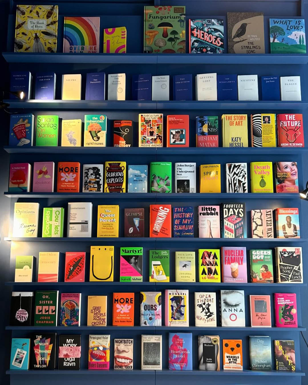 An array of books facing cover first on dark blue shelves at Salted Books, Lisbon