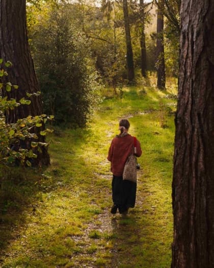 Hiker in the woods at Cynefin Retreats