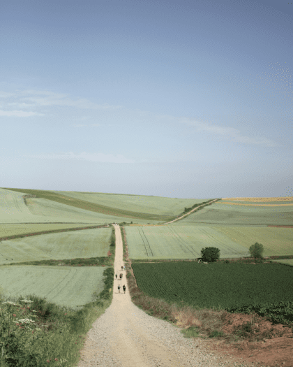 Hikers on the Camino de Santiago, walking along a gravel path over rolling green fields beneath a blue sky.