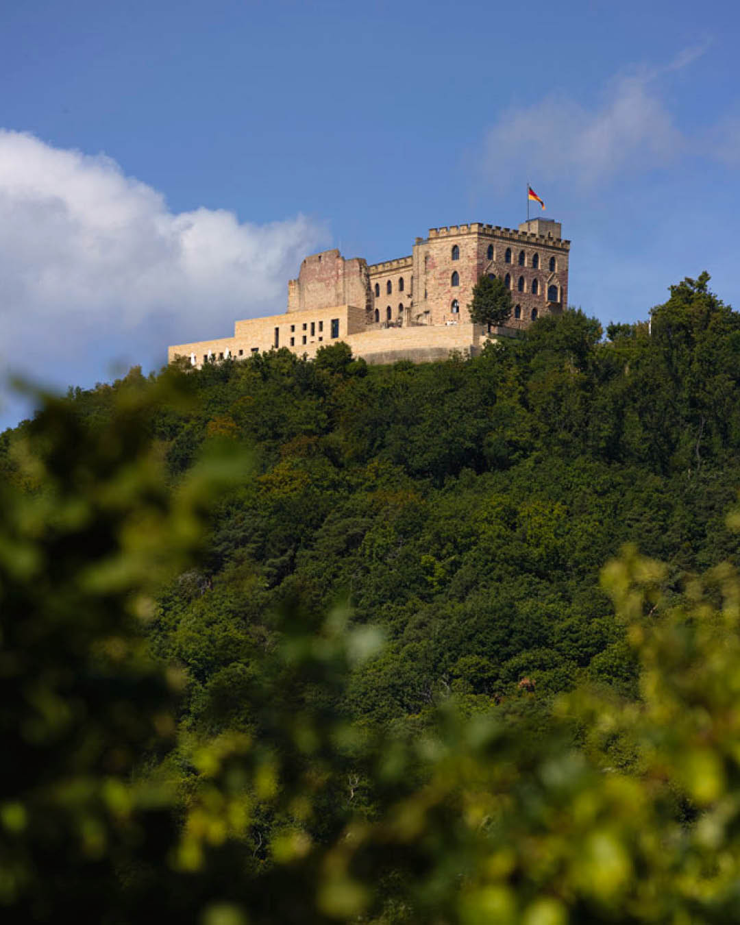 Hambach Castle, an accessible travel destination, perched on a wooded hill.