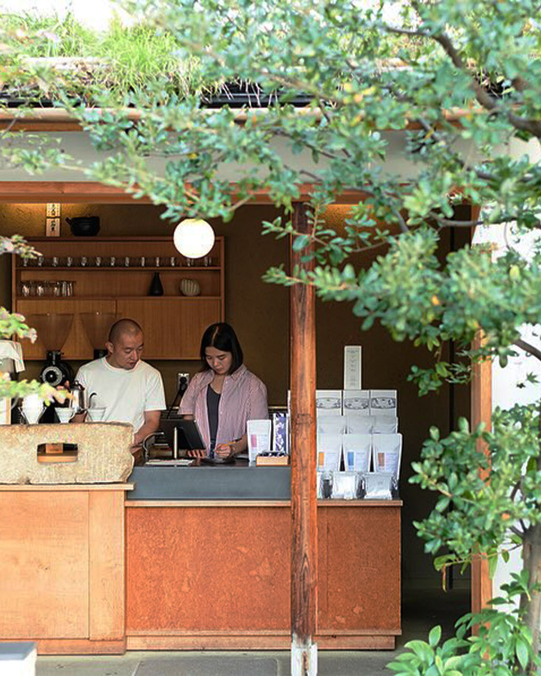 A wooden outdoor coffee bar behind a leafy tree at Weekenders coffee shop, Kyoto.