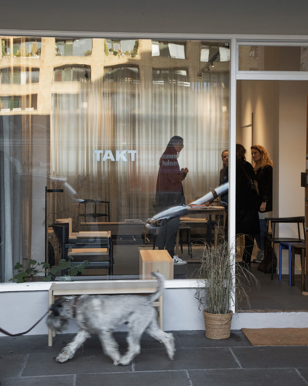 A dog walks past TAKT Studio showroom in Copenhagen.