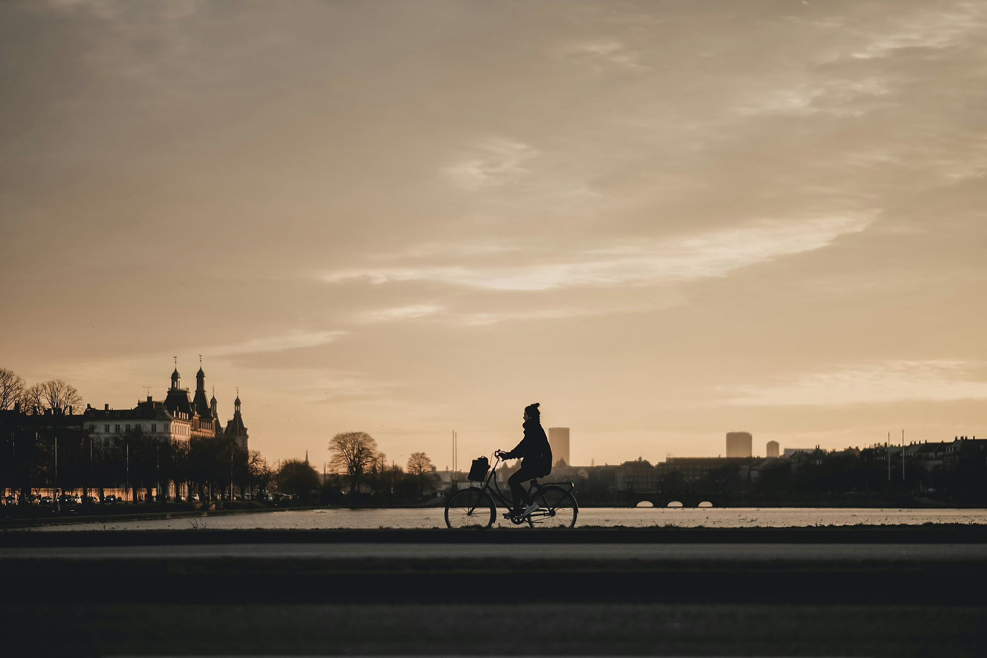 Cycling across Queen Louise's Bridge in Copenhagen.