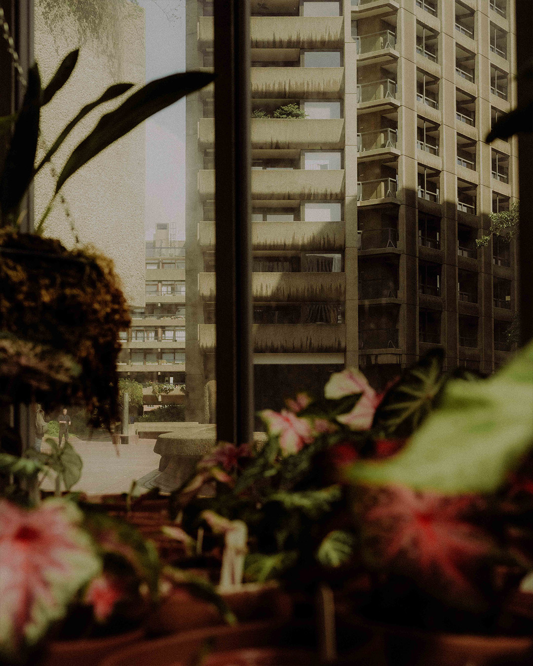 Towers of the Barbican Estate viewed through a window with some small pot plants in the foreground.