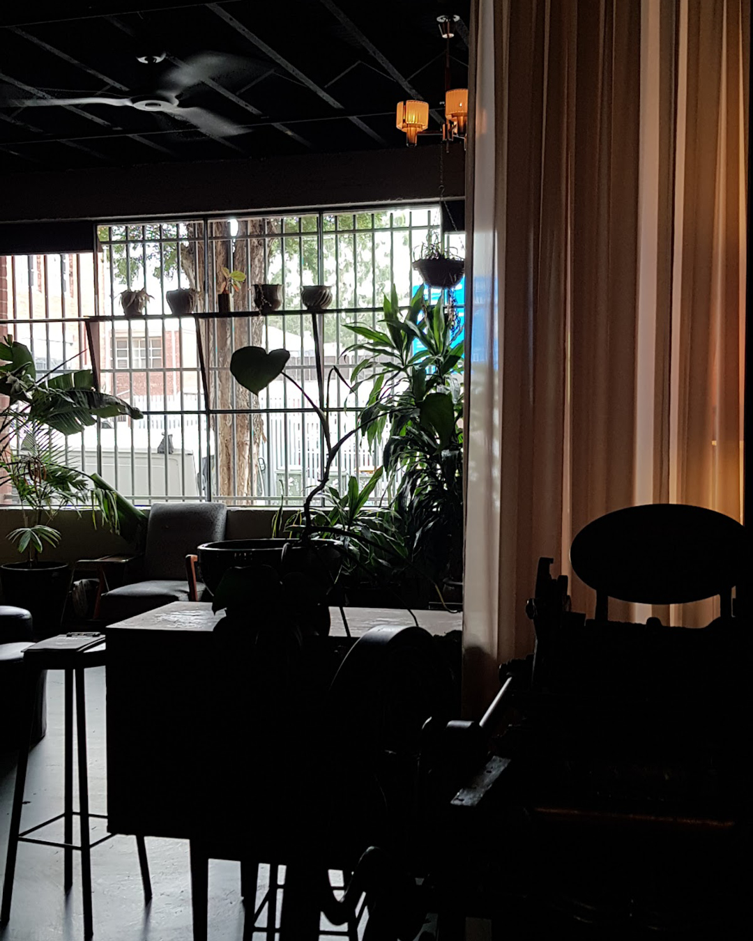 Dark and leafy interiors at Paradise Alley in Collingwood