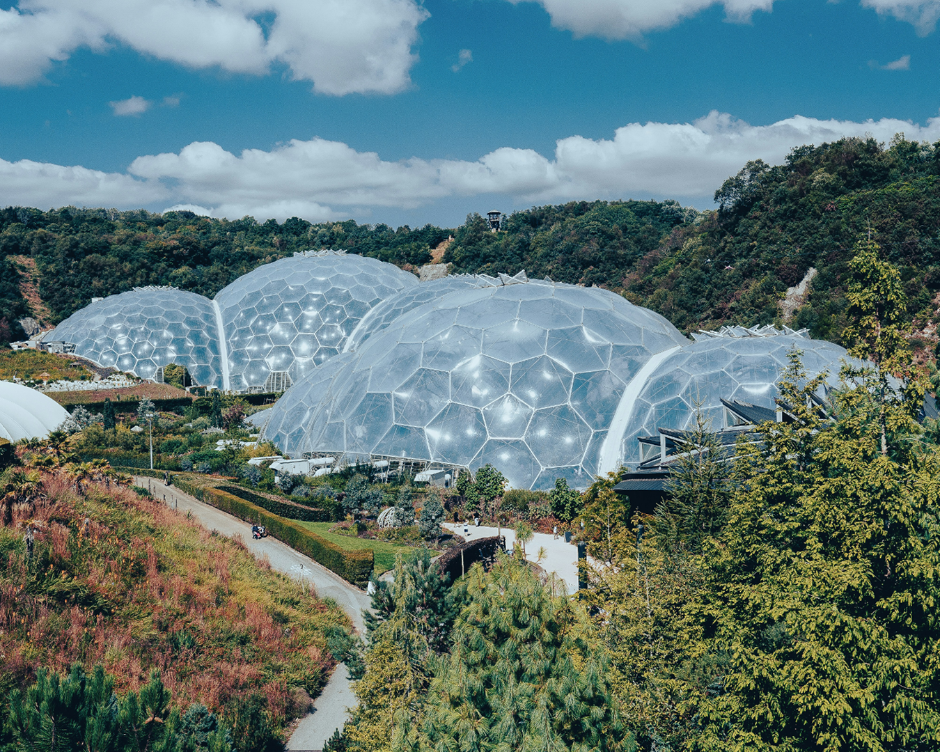 The Eden Project domes surrounded by greenery