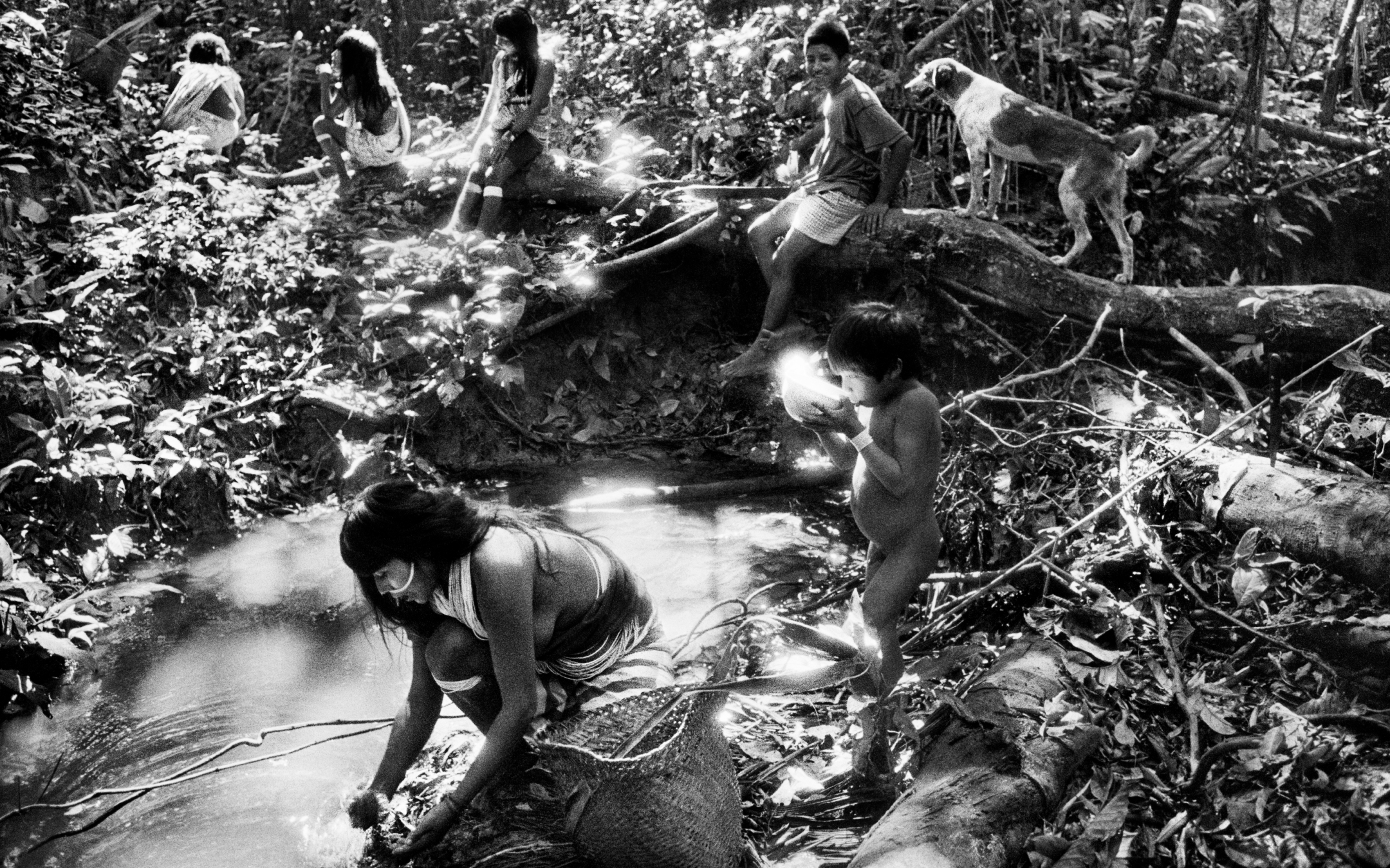 'ZO'É' by Sebastião Salgado, as on show at the National Museum of Singapore.