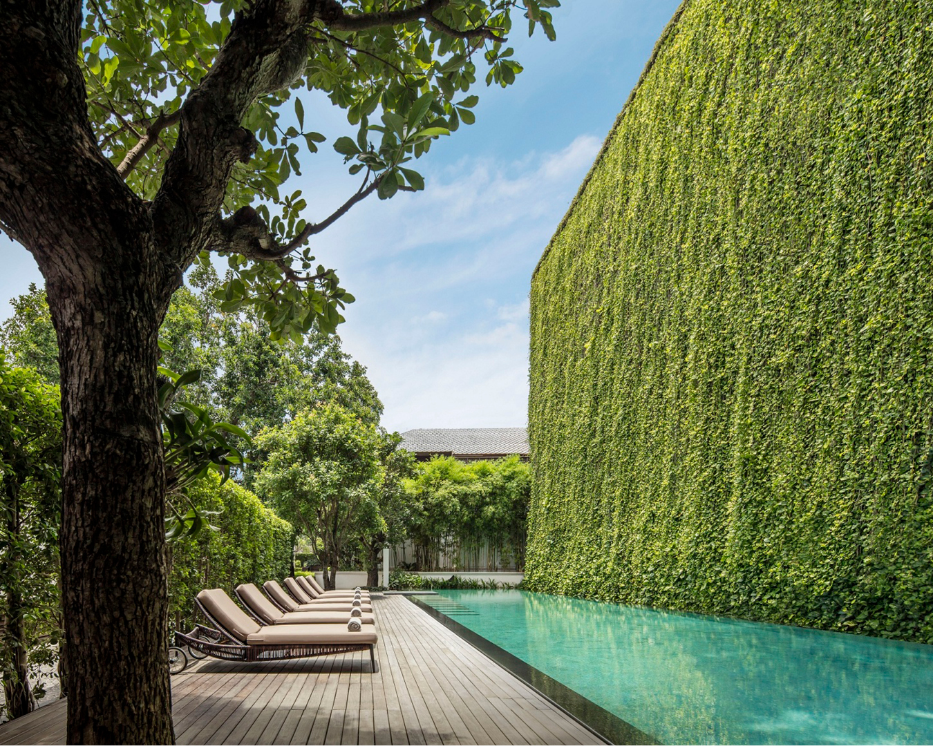 Hedge-lined swimming pool at 137 Pillars House