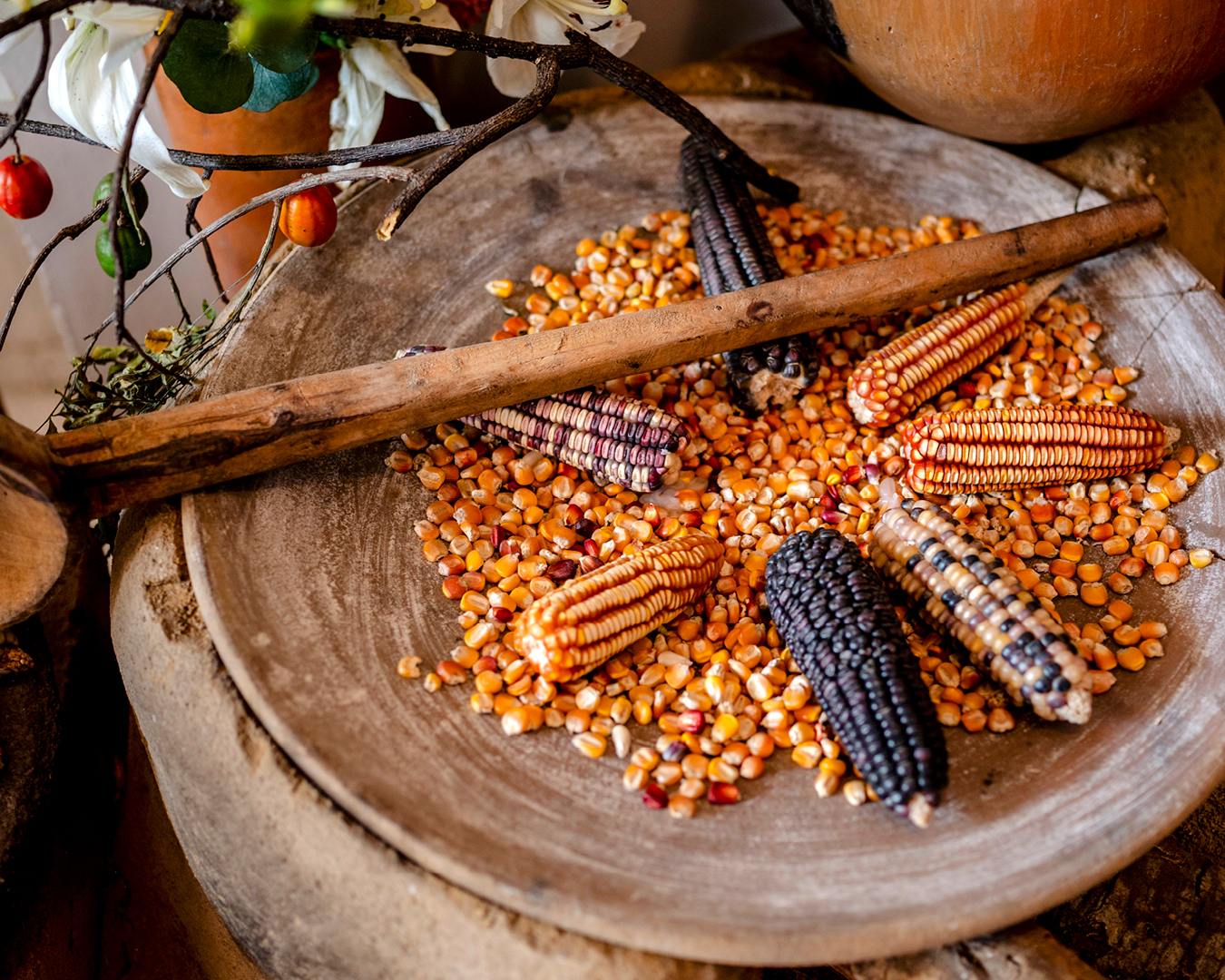 Multicoloured corn at Levadura de Olla