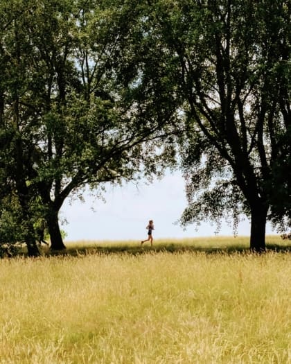 A runner in Hampstead Heath.