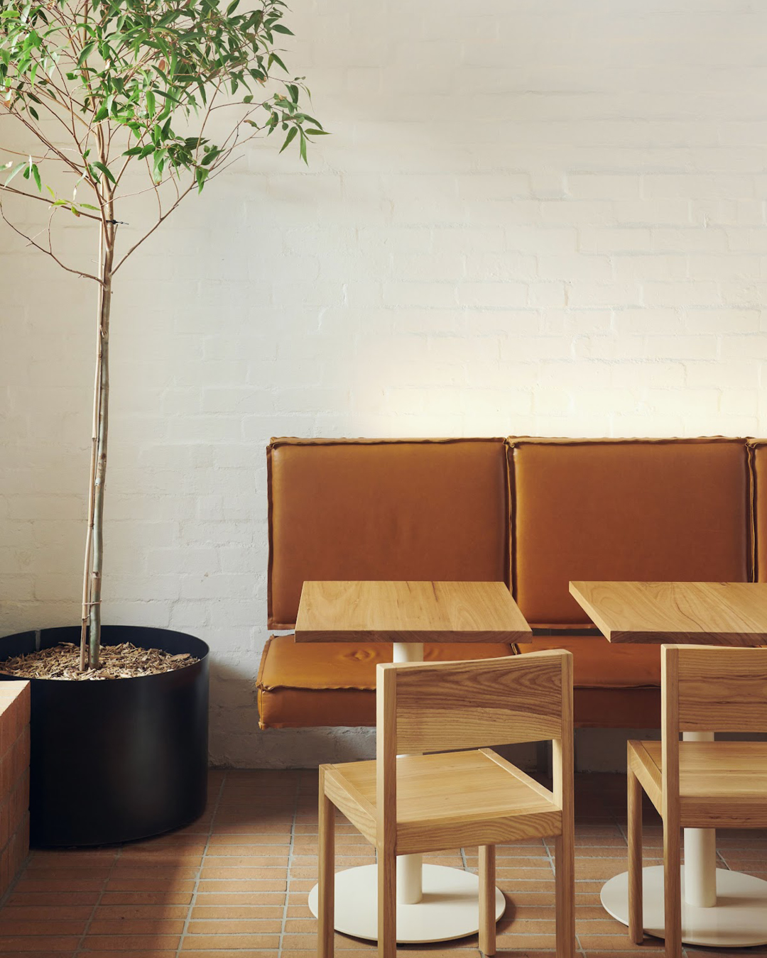 Wooden chairs and a leather banquette next to a potted ficus inside Prior Thornbury coffee shop in Melbourne.