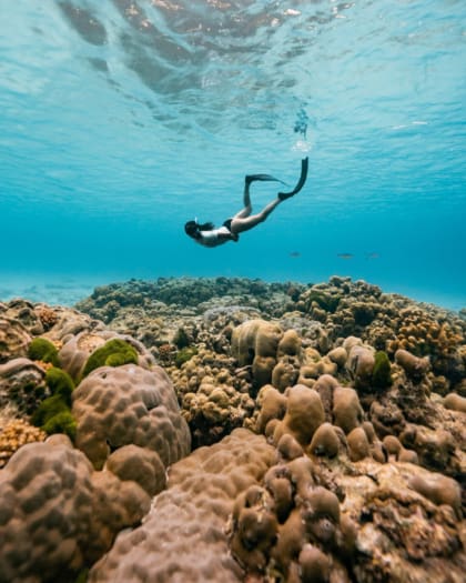 A woman swims above a coral reef in Thailand. Photography by Pier Nirandara