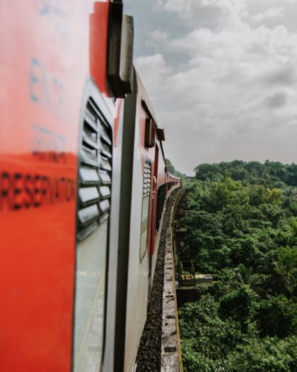 View across verdant forest in rural India. Photography by Marc Sethi